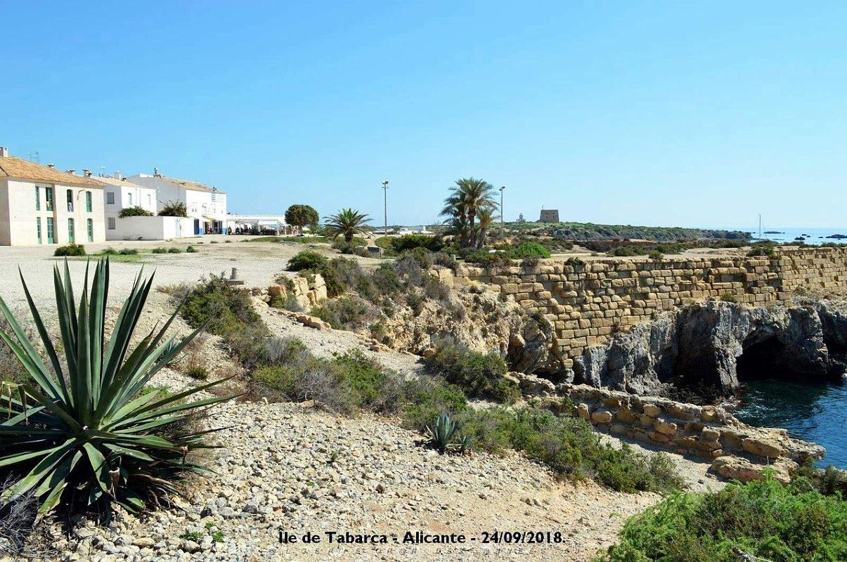 21 ALICANTE L ILE DE TABARCA (158).JPG